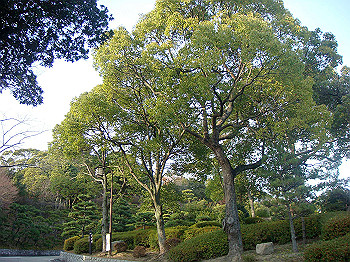 dsc00950_thumb.jpg