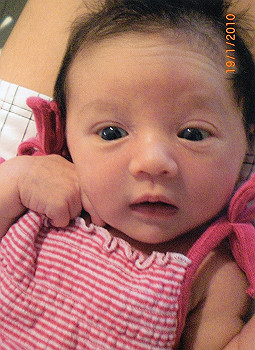 lila06_thumb.jpg