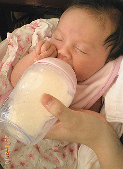 lila08_thumb.jpg