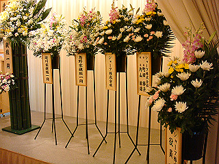 dsc01496_thumb.jpg