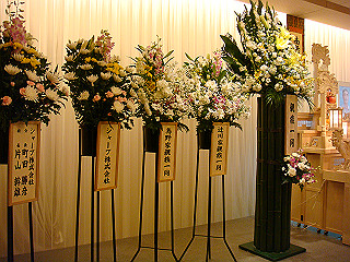 dsc01497_thumb.jpg