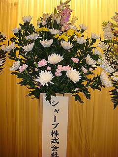 dsc01508_thumb.jpg