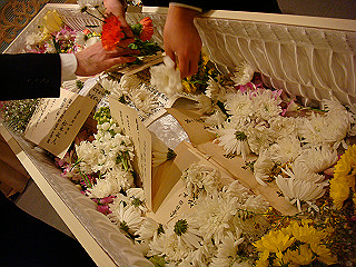 dsc01525_thumb.jpg