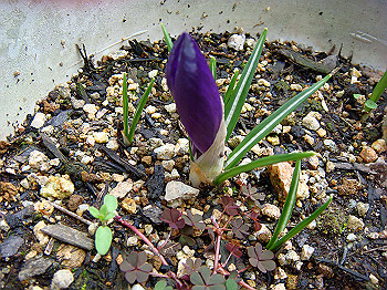 dsc01535_thumb.jpg