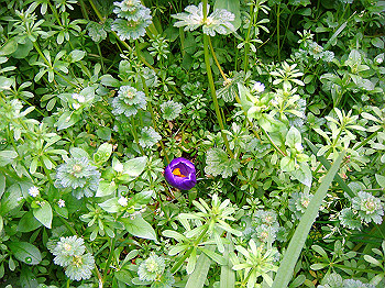 dsc01539_thumb.jpg