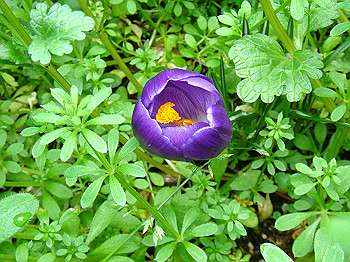 dsc01540_thumb.jpg