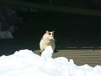dsc01587_thumb.jpg