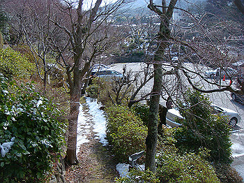 dsc01600_thumb.jpg