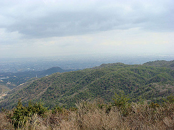 dsc01603_thumb.jpg