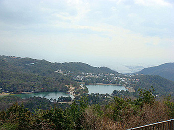 dsc01604_thumb.jpg