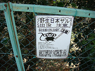 dsc01624_thumb.jpg