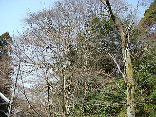 dsc01632_thumb.jpg