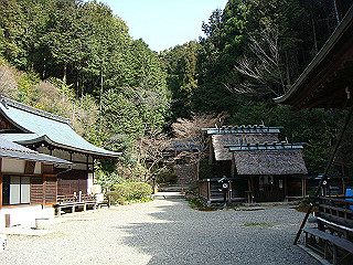dsc01633_thumb.jpg