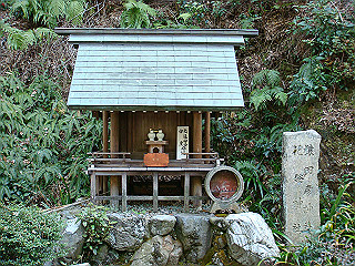 dsc01635_thumb.jpg