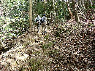 dsc01643_thumb.jpg