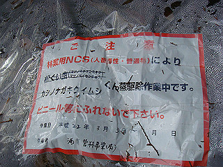 dsc01646_thumb.jpg