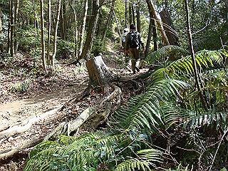 dsc01652_thumb.jpg