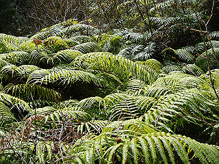 dsc01653_thumb.jpg