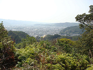 dsc01655_thumb.jpg