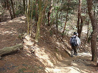 dsc01659_thumb.jpg