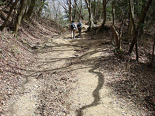 dsc01663_thumb.jpg