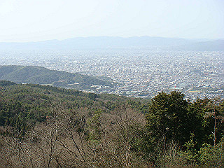 dsc01668_thumb.jpg