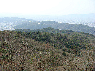 dsc01669_thumb.jpg