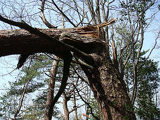 dsc01674_thumb.jpg