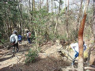 dsc01676_thumb.jpg