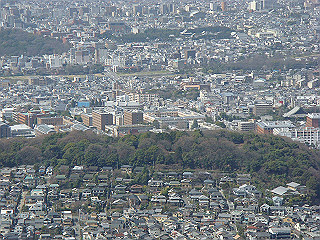 dsc01683_thumb.jpg