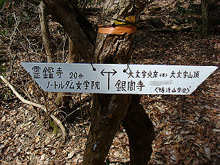 dsc01699_thumb.jpg