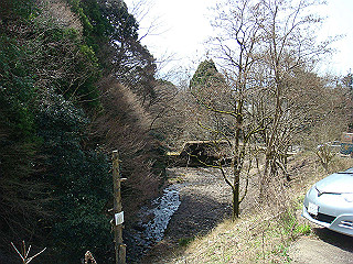 dsc01704_thumb.jpg