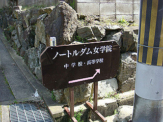 dsc01709_thumb.jpg