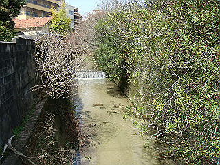 dsc01716_thumb.jpg