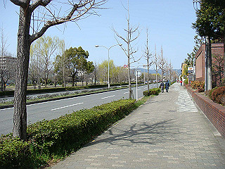 dsc01727_thumb.jpg