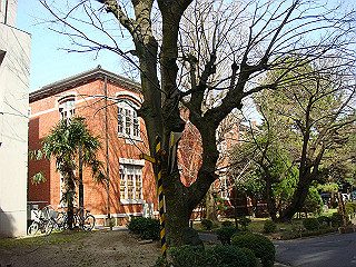 dsc01739_thumb.jpg