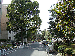 dsc01741_thumb.jpg