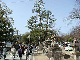 dsc01747_thumb.jpg