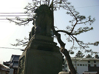 dsc01748_thumb.jpg