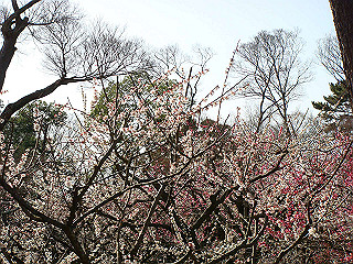 dsc01752_thumb.jpg