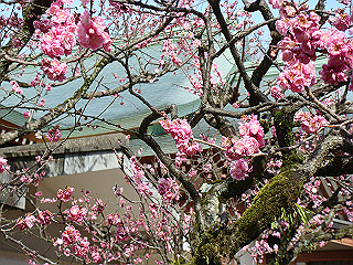 dsc01755_thumb.jpg