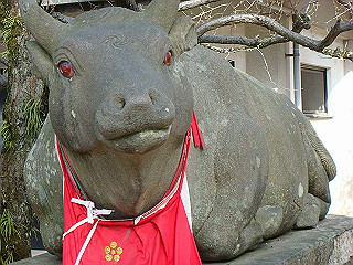 dsc01756_thumb.jpg
