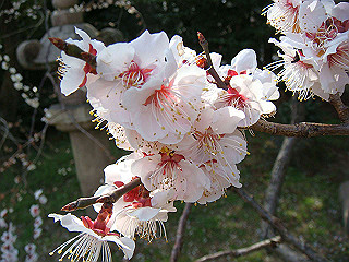 dsc01759_thumb.jpg