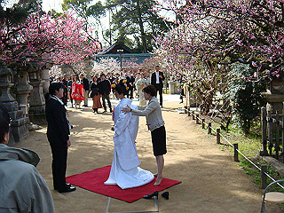 dsc01760_thumb.jpg