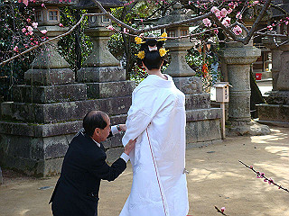 dsc01762_thumb.jpg