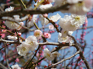 dsc01767_thumb.jpg