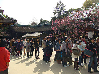 dsc01772_thumb.jpg