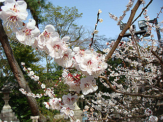 dsc01777_thumb.jpg