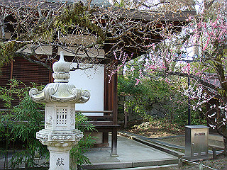 dsc01786_thumb.jpg