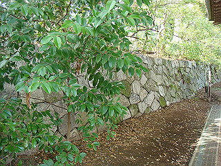 dsc01791_thumb.jpg